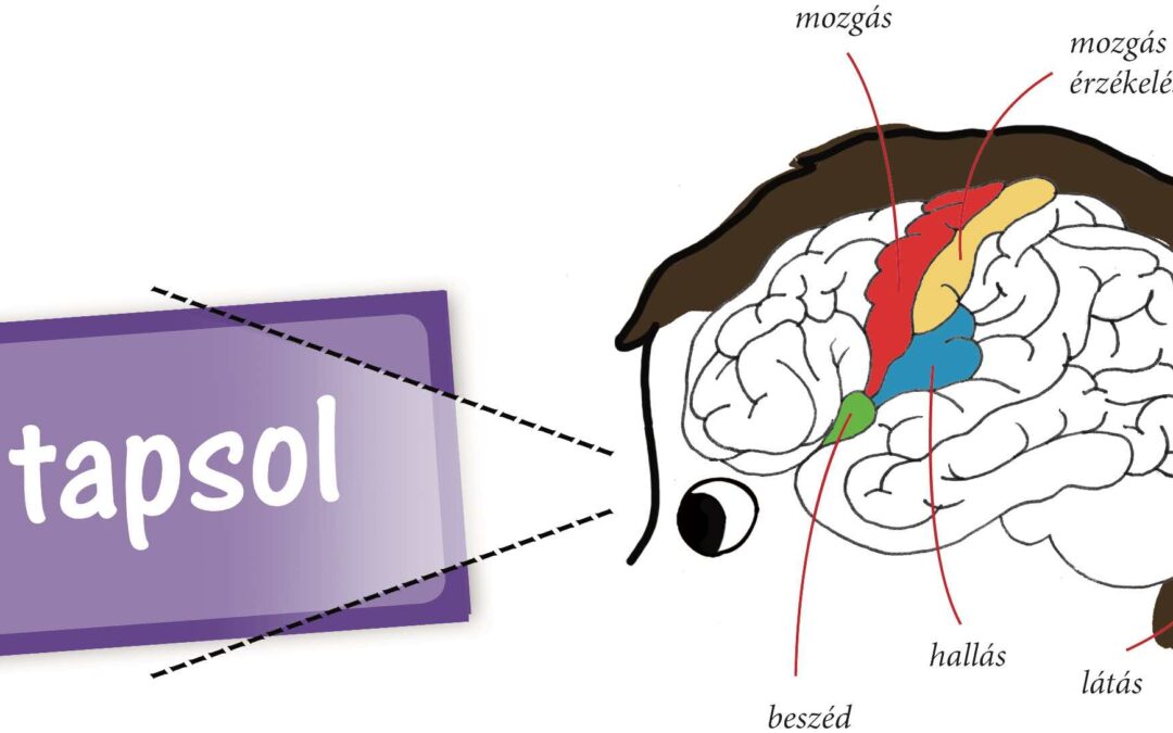 Szavakkal játszható játékok 