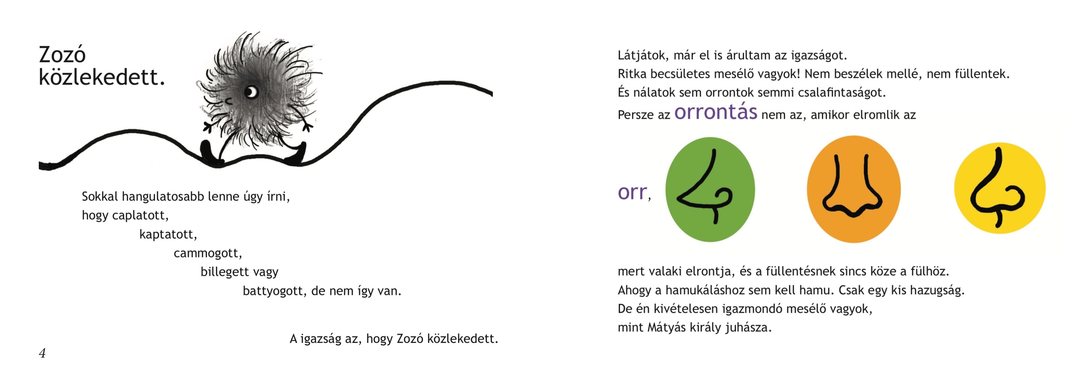 Zozó és a hajrengeteg