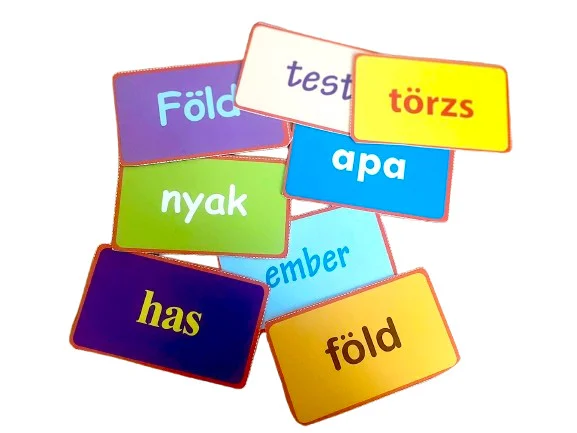 Testrészek: 5. Test mese - szókártyás kiadás - Image 6